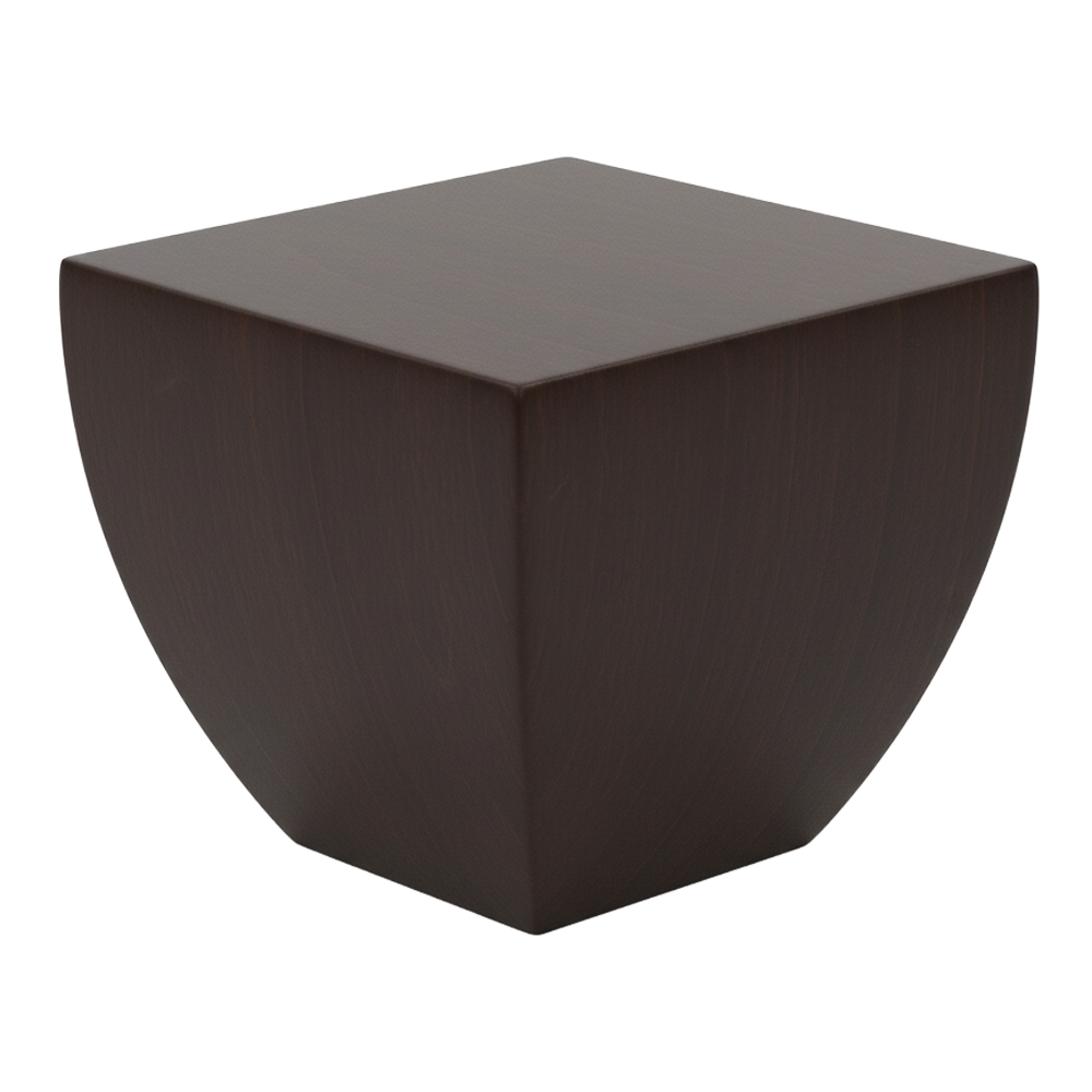 FOCUS-S — ножка