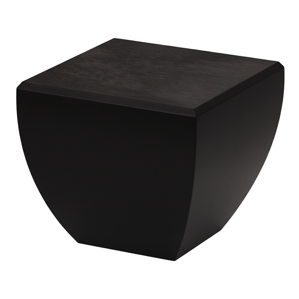 FOCUS-S — ножка