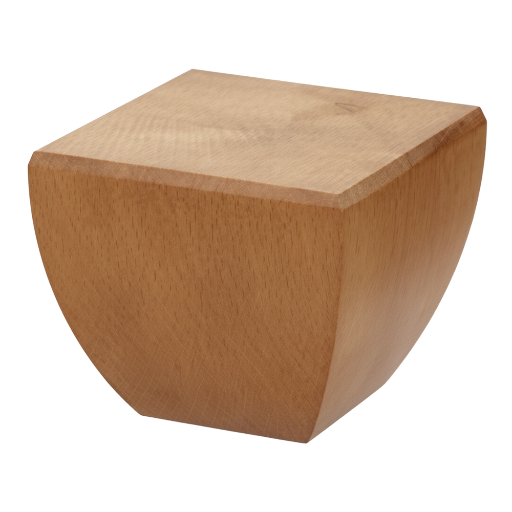 FOCUS-S — ножка