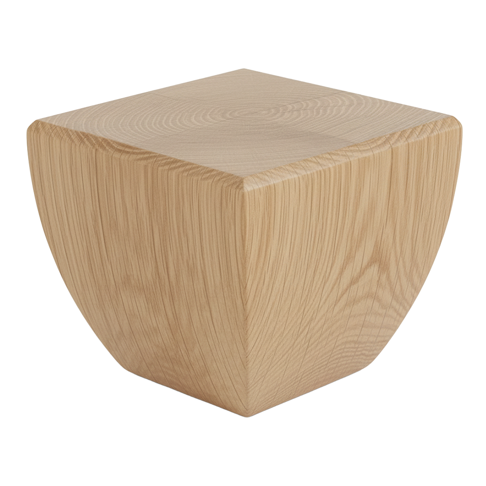 FOCUS-S — ножка